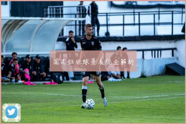 国足归化球员表现全解析